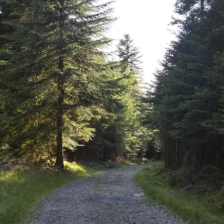 بيت للعطل Le Pin A 2 Pas De Gerardmer, Dans La Vallee Des Lacs كسونبورت-لونجمير