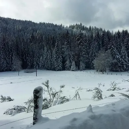 بيت للعطل Le Pin A 2 Pas De Gerardmer, Dans La Vallee Des Lacs كسونبورت-لونجمير