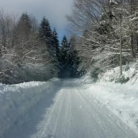 Le Pin A 2 Pas De Gerardmer, Dans La Vallee Des Lacs بيت للعطل *