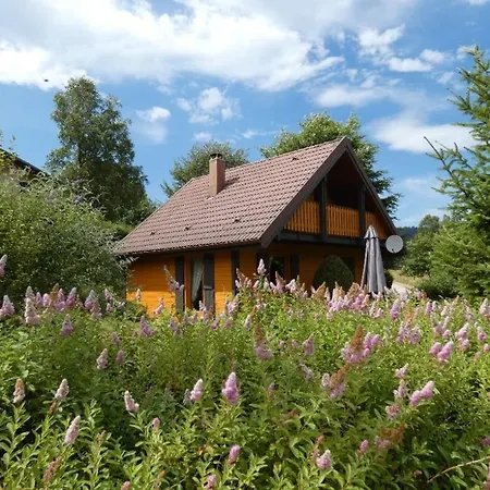 Feriehus Le Pin A 2 Pas De Gerardmer, Dans La Vallee Des Lacs Xonrupt-Longemer