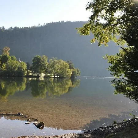 Le Pin A 2 Pas De Gerardmer, Dans La Vallee Des Lacs Feriehus *