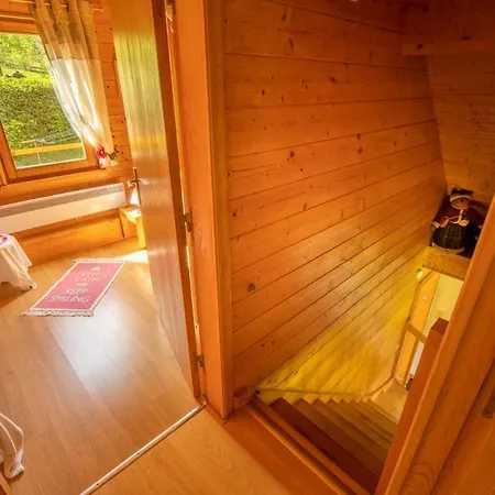 Le Pin A 2 Pas De Gerardmer, Dans La Vallee Des Lacs Feriehus Xonrupt-Longemer