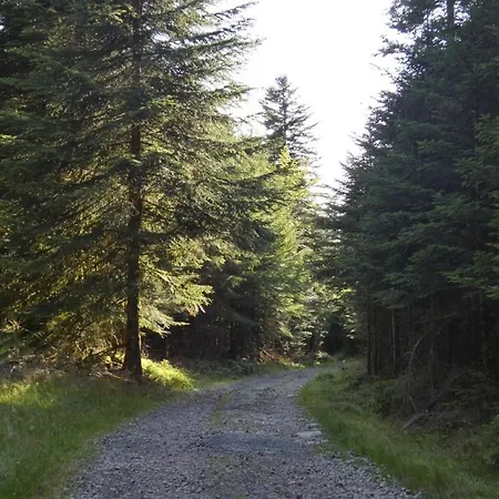 Feriehus Le Pin A 2 Pas De Gerardmer, Dans La Vallee Des Lacs