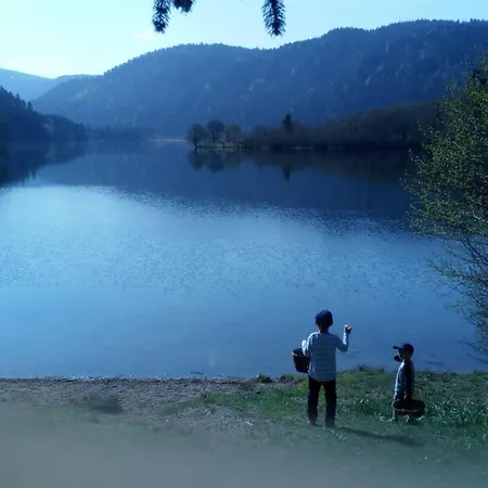 Le Pin A 2 Pas De Gerardmer, Dans La Vallee Des Lacs Feriehus *