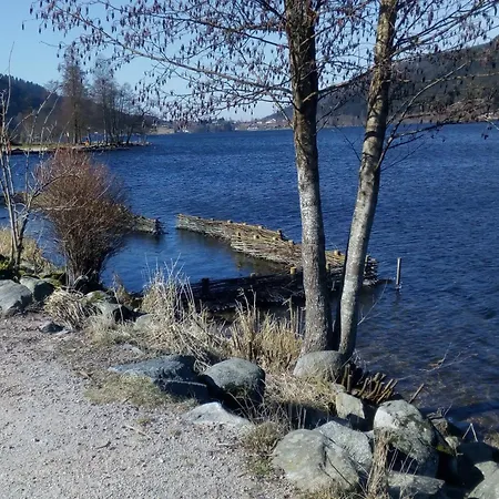 Feriehus Le Pin A 2 Pas De Gerardmer, Dans La Vallee Des Lacs Xonrupt-Longemer