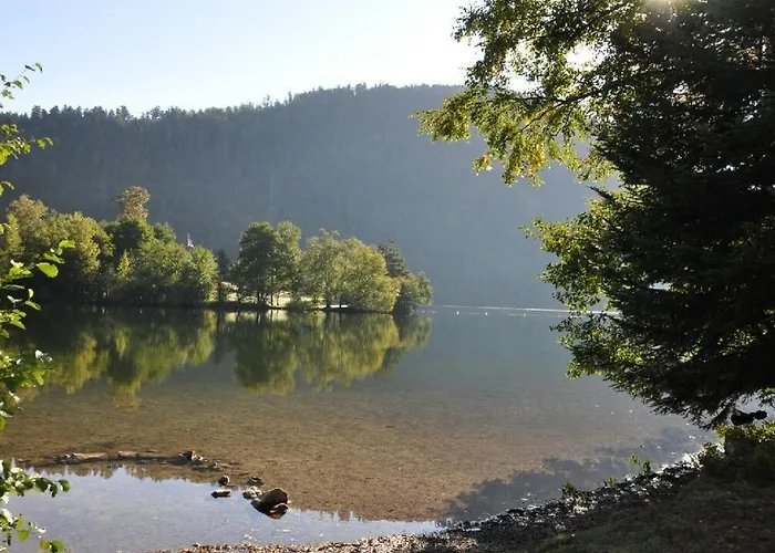 Le Pin A 2 Pas De Gerardmer, Dans La Vallee Des Lacs בית נופש זונרופט-לונז'מר