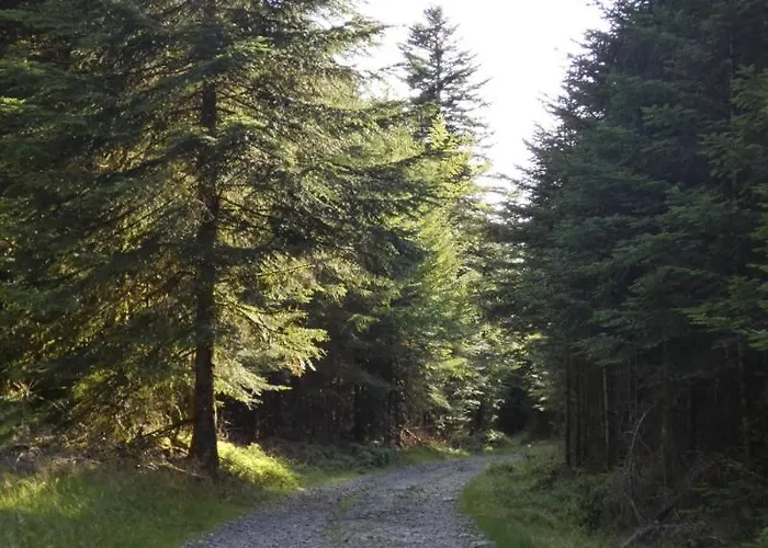 בית נופש Le Pin A 2 Pas De Gerardmer, Dans La Vallee Des Lacs זונרופט-לונז'מר