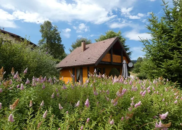 Le Pin A 2 Pas De Gerardmer, Dans La Vallee Des Lacs *