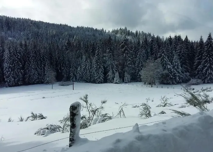 בית נופש Le Pin A 2 Pas De Gerardmer, Dans La Vallee Des Lacs זונרופט-לונז'מר