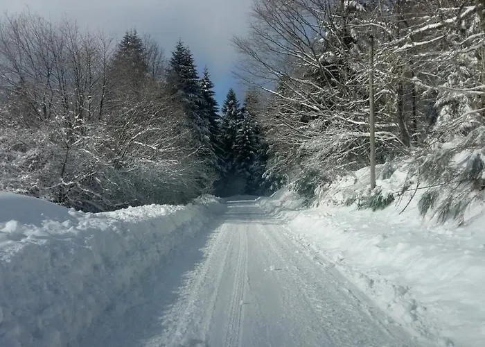 Le Pin A 2 Pas De Gerardmer, Dans La Vallee Des Lacs בית נופש *