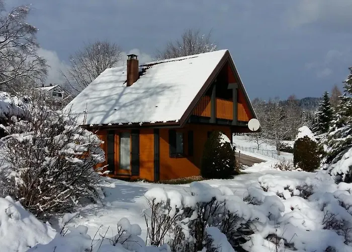 Le Pin A 2 Pas De Gerardmer, Dans La Vallee Des Lacs * זונרופט-לונז'מר